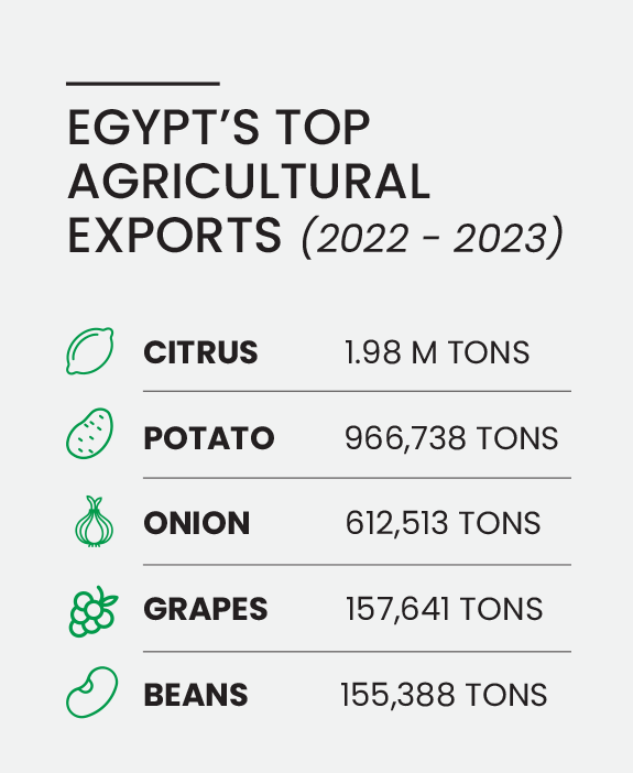 infographics